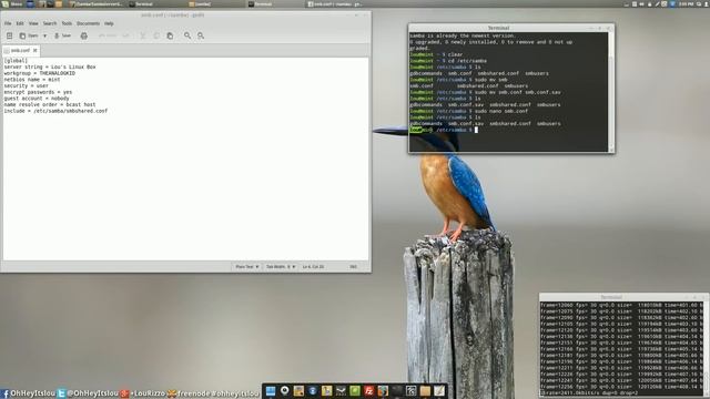 How to Create a Samba Server In Linux Mint Ubuntu or Debian смотреть онлайн