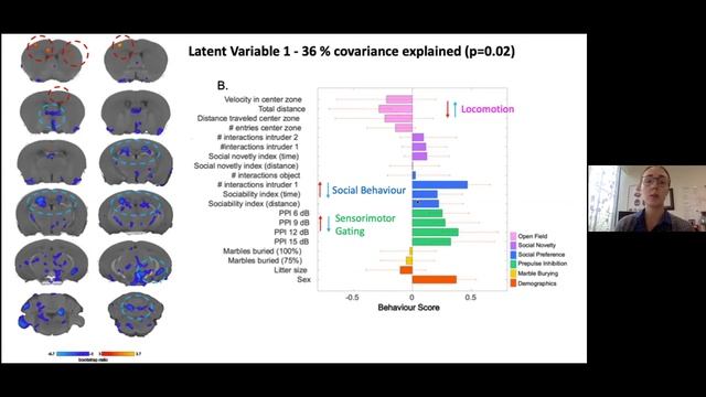 Overview of Multivariate Analysis Methods in Neuroimaging смотреть онлайн