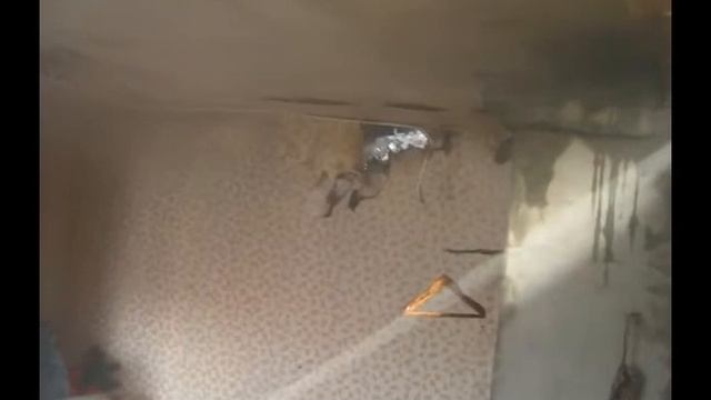 Пожар жилого дома Бобруйск, пос Еловики 11 03 2014 смотреть онлайн