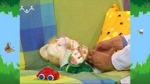 Утро в Шишкином Лесу. Доктор. Ленивый Коксик