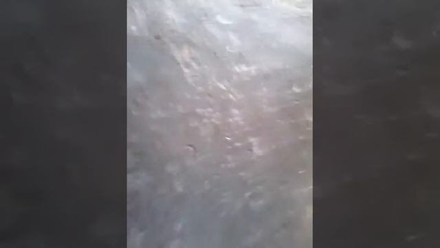 Очень скользко на улице г.Кременчуг Украина смотреть онлайн