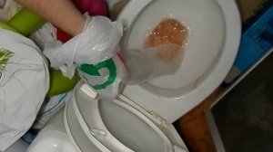 Что делать если засорился золотой унитаз?