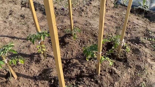 Один день в деревне. смотреть онлайн