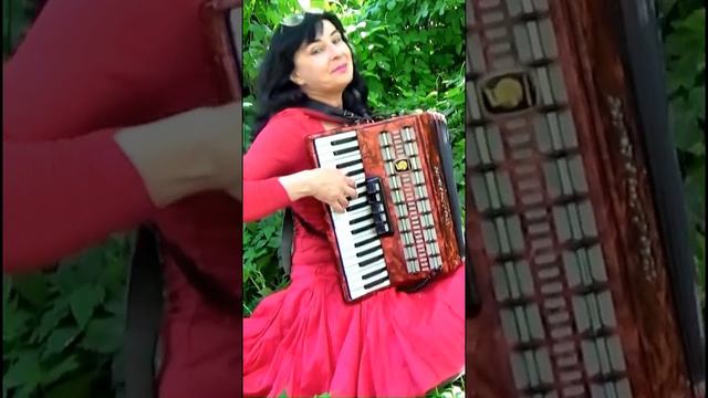 Wieslawa Dudkowiak - ACCORDION "White Rose" смотреть онлайн