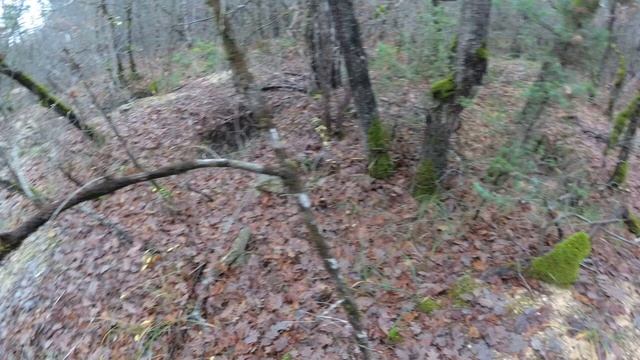 Поездка за грибами в Крыму декабре месяце.Сказочный лес.Разрытые могилы. смотреть онлайн