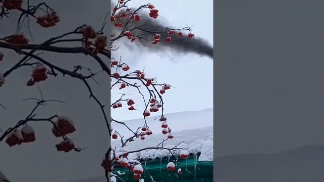 Вакуумная очистка дымоходов! Готовый бизнес! смотреть онлайн