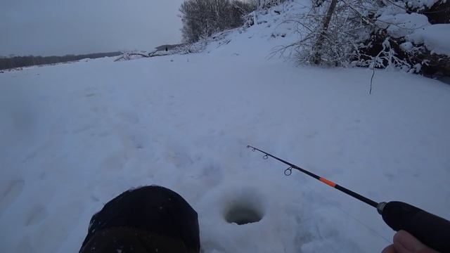 В ЗАВАЛЕ НАШЕЛ КАБАНОВ!! НЕ ЗРЯ ПРОБИВАЛИСЬ ТУДА!! Рыбалка на Оби ,Килограммовые окуни. смотреть онлайн
