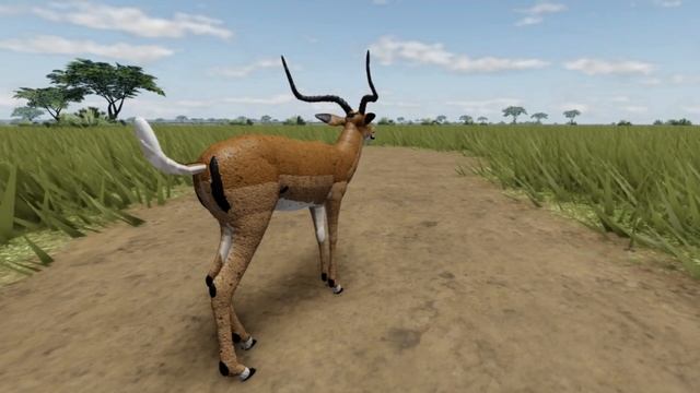 Roblox Wild Savanna - Updated Impala rutting call animation - New vs Old смотреть онлайн