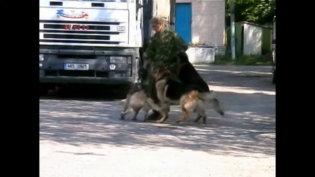 Ронни- Зигги- Герда& В. Пасечник -2006г смотреть онлайн