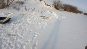 рыбалка на хапуги ловля хищника