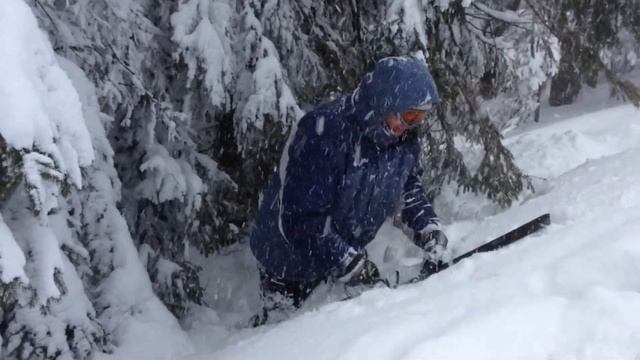 Драгобрат 2013, Медведь в Лесу смотреть онлайн