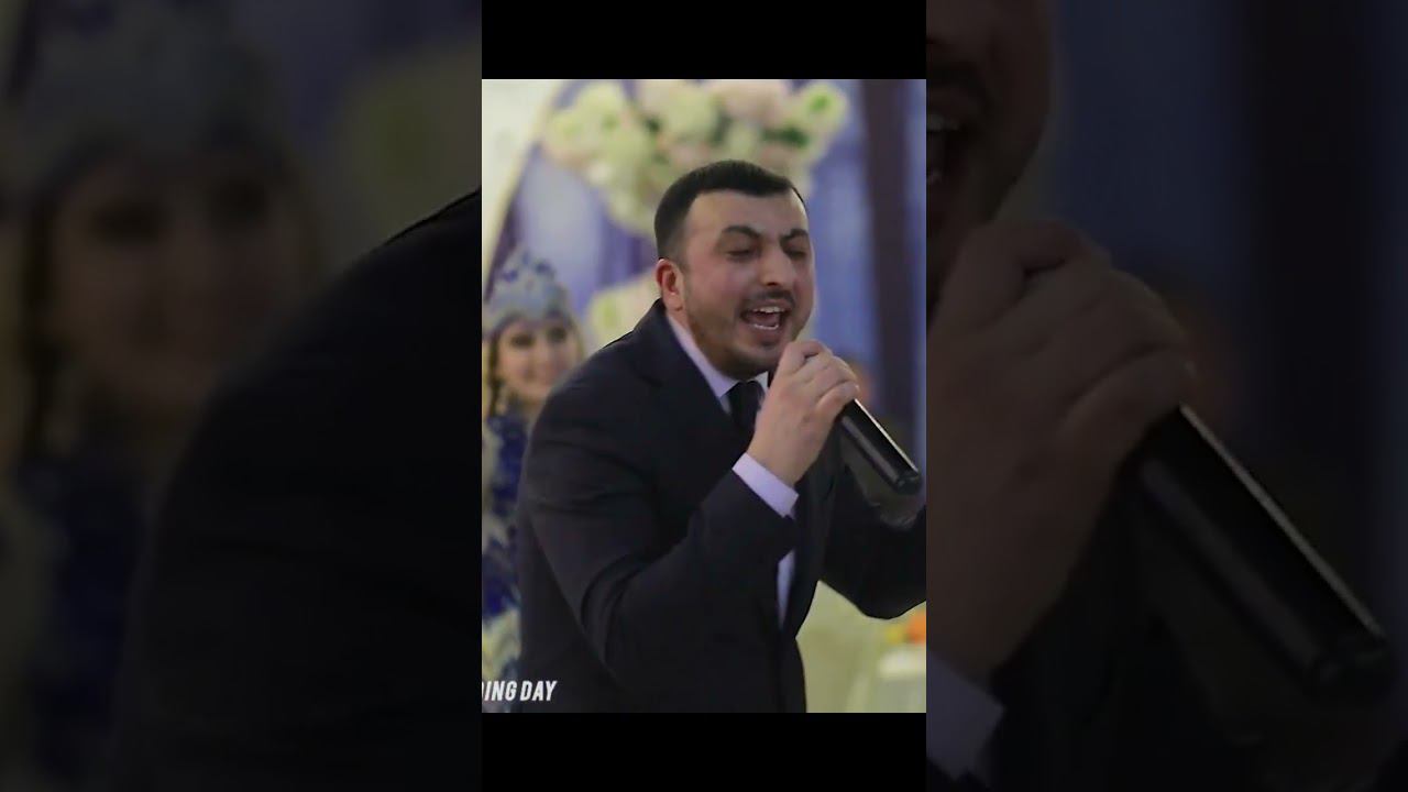 Дамирбек Олимов #shorts #дамирбеколимов