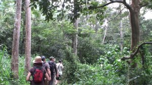 Уганда и Руанда 2013