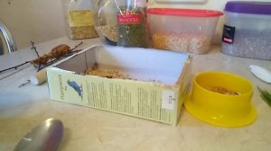 Как я делаю копашилку для волнистых попугаев.