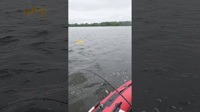 Судак в августе на джиг смотреть онлайн