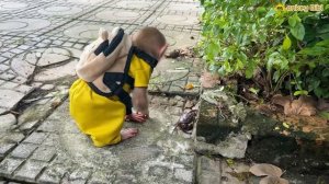 Monkey Bibi Doing Funny Things! Best of the week