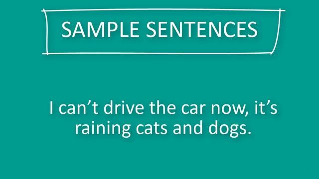 It's Raining Cats And Dogs - İngilizce Deyim смотреть онлайн