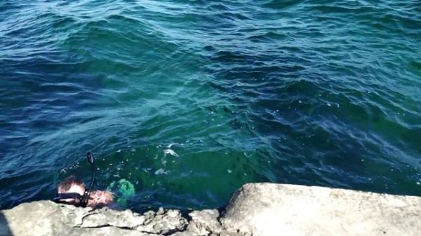 ИХТИАНДР НА МОРЕ // ichthyander at sea /good catch /great sea