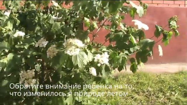Наблюдаем изменения в природе на прогулке смотреть онлайн