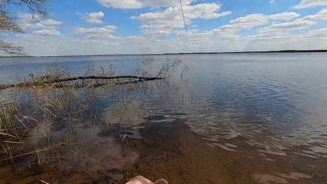 Рыба По Соседству