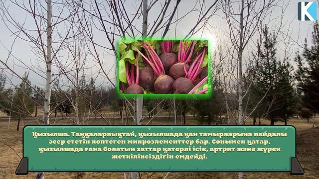 Жүрекке ең пайдалы 10 тағам, жүрегіңіз сау болсын десеңіз, Керек арнасы смотреть онлайн