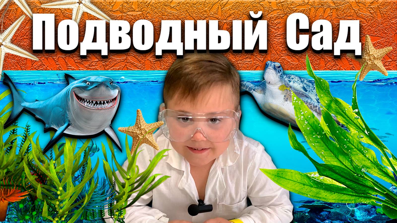 Подводный сад дома!😨 Как я это сделал?😱 смотреть онлайн