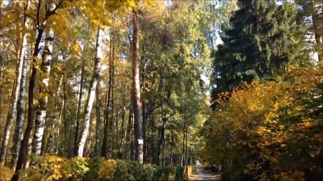 Вальс Томилино смотреть онлайн