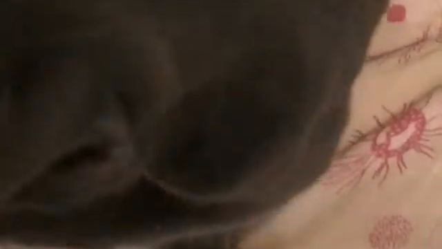 Игры на кровати. Часть 2 смотреть онлайн