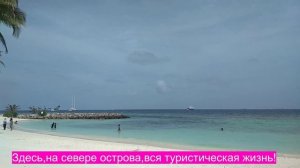 Акулята на пляже Бикини.Маафуши.Мальдивы.