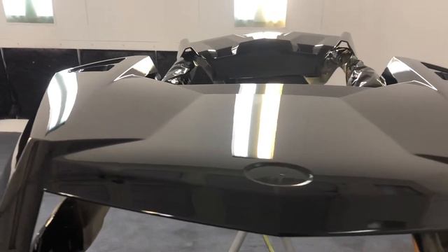 Chameleon Paint RZR Turbo S смотреть онлайн