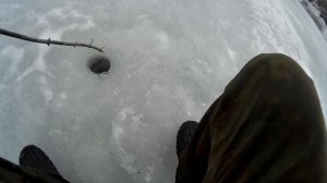 ЗИМНЯЯ рыбалка на ПОКАТОК 2021г!река ДОН!