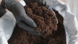 КАЛАНХОЭ: Секреты По Уходу Для Отличного Роста И Цветения / Почему Каланхоэ Плохо Растет И Не Цвете