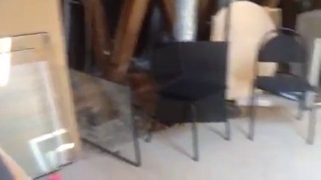 Мансарда смотреть онлайн