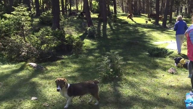 "Дикая" ночевка в Сванетии - атмосфера "Перезагрузки" в Грузии 2016 смотреть онлайн