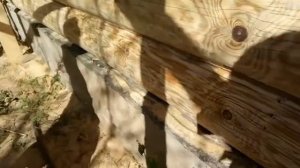 Борьба с короедом в срубе