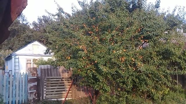 Жизнь на пенсии в деревне . Сын приехал помогать. Наш день - Что мы сделали за сутки смотреть онлайн