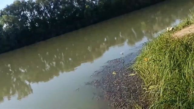 Август в деревне, рыбалка и ремонт матиза смотреть онлайн