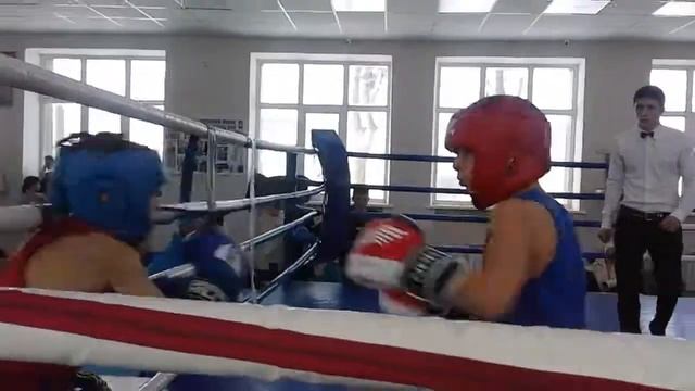 Богдан Спорник Хтз смотреть онлайн