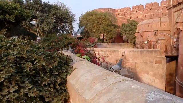 Индия, город Агра, рядом с Agra fort парк, где отдыхают индианцы смотреть онлайн