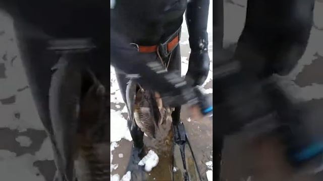 13 февраля 2019 г. смотреть онлайн