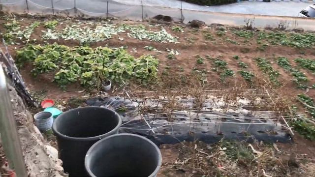 КОРЕЯ. 한국 КАК ОТДЫХАЮТ КОРЕЙЦЫ В ВЫХОДНЫЕ/НАША ПОЕЗДКА В ЧАСТНЫЙ ПАНСИОНАТ/МОРЕ/ПАЛЬМЫ / 나스탸 смотреть онлайн