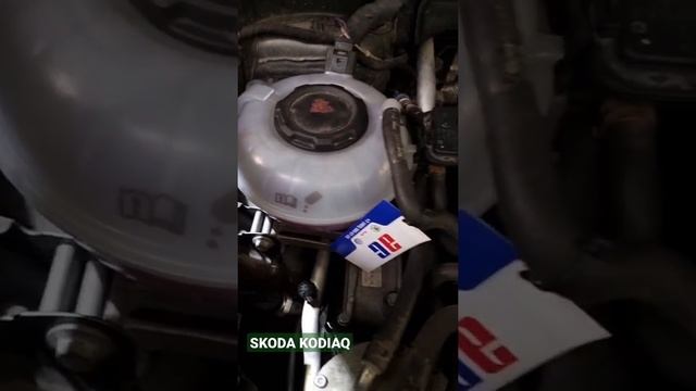 SKODA KODIAQ замена расширительного бачка смотреть онлайн