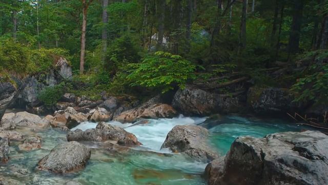 Медитация Дома - на 15 минут расслабления под музыку для медитации, отдыха или сна ребёнка смотреть онлайн