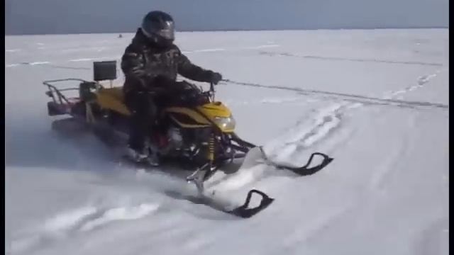 dingo t300 смотреть онлайн