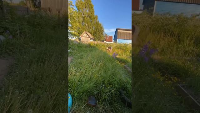 #огород #дача #отдых #работа #огородныедела смотреть онлайн