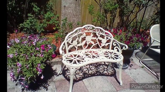 Relaxing Video Of Flowers Blooming In My Garden Roses, Petunia And More