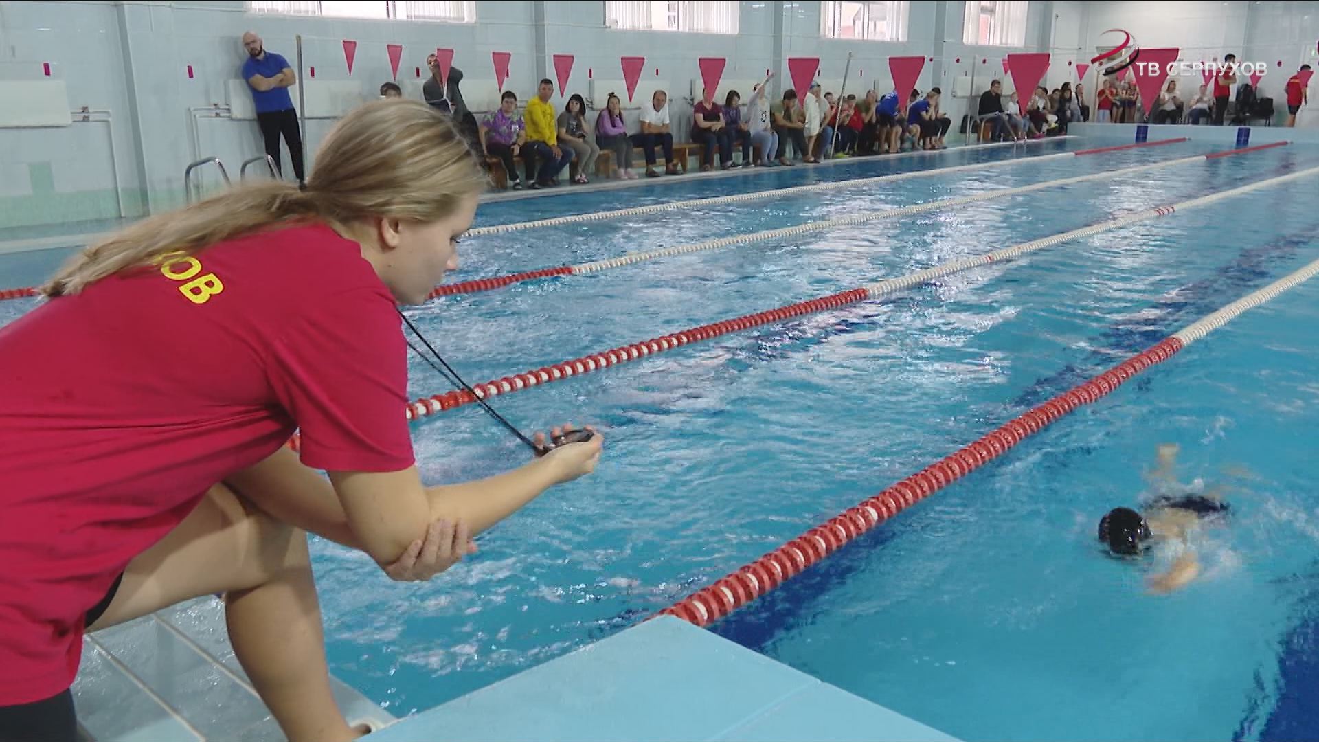 В Серпухове в турнире по плаванью на кубок Главы участвовало рекордное количество школьников смотреть онлайн