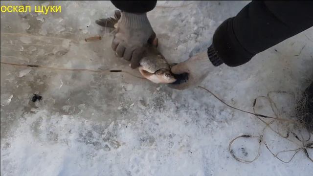 Рыбалка зимой на сети. смотреть онлайн