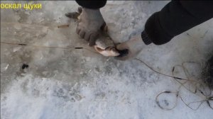Рыбалка зимой на сети.