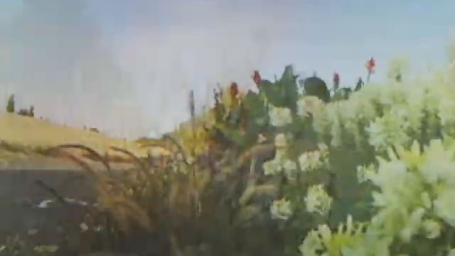 Michael Hedges songs by DRUMJACK смотреть онлайн